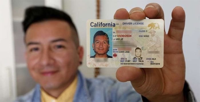 como se clasifican los tipos de licencia de conducir en estados unidos