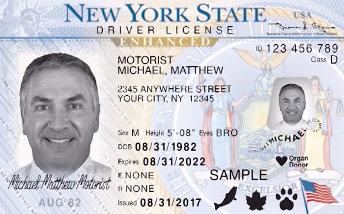 clases de licencia de conducir en estados unidos