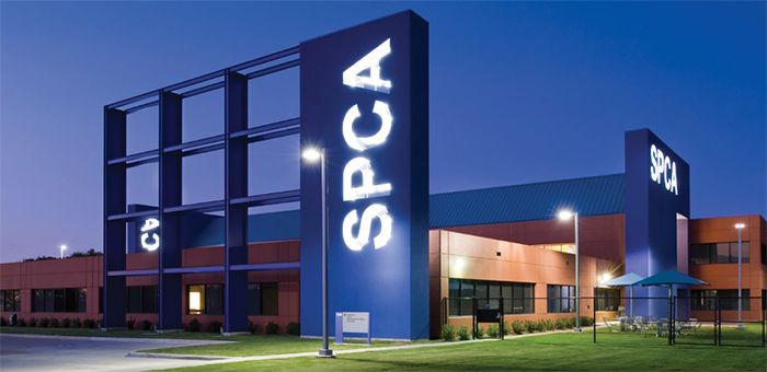 spca de dallas