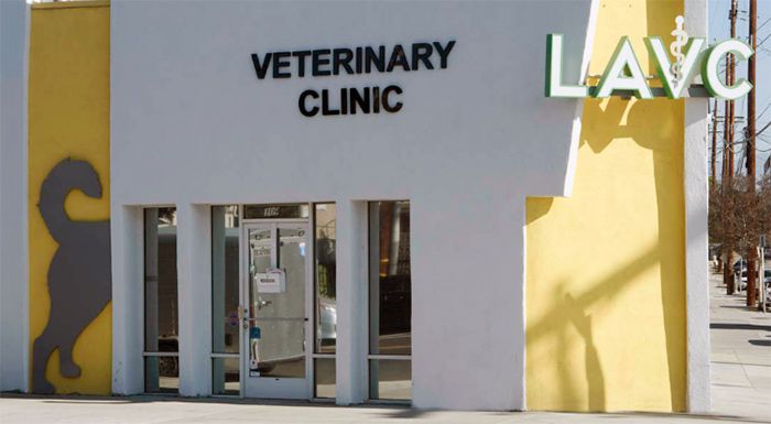 vacunas para perros cerca de mi