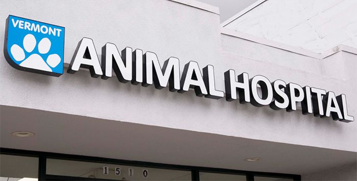vacunas gratis para perros cerca de mi ubicación
